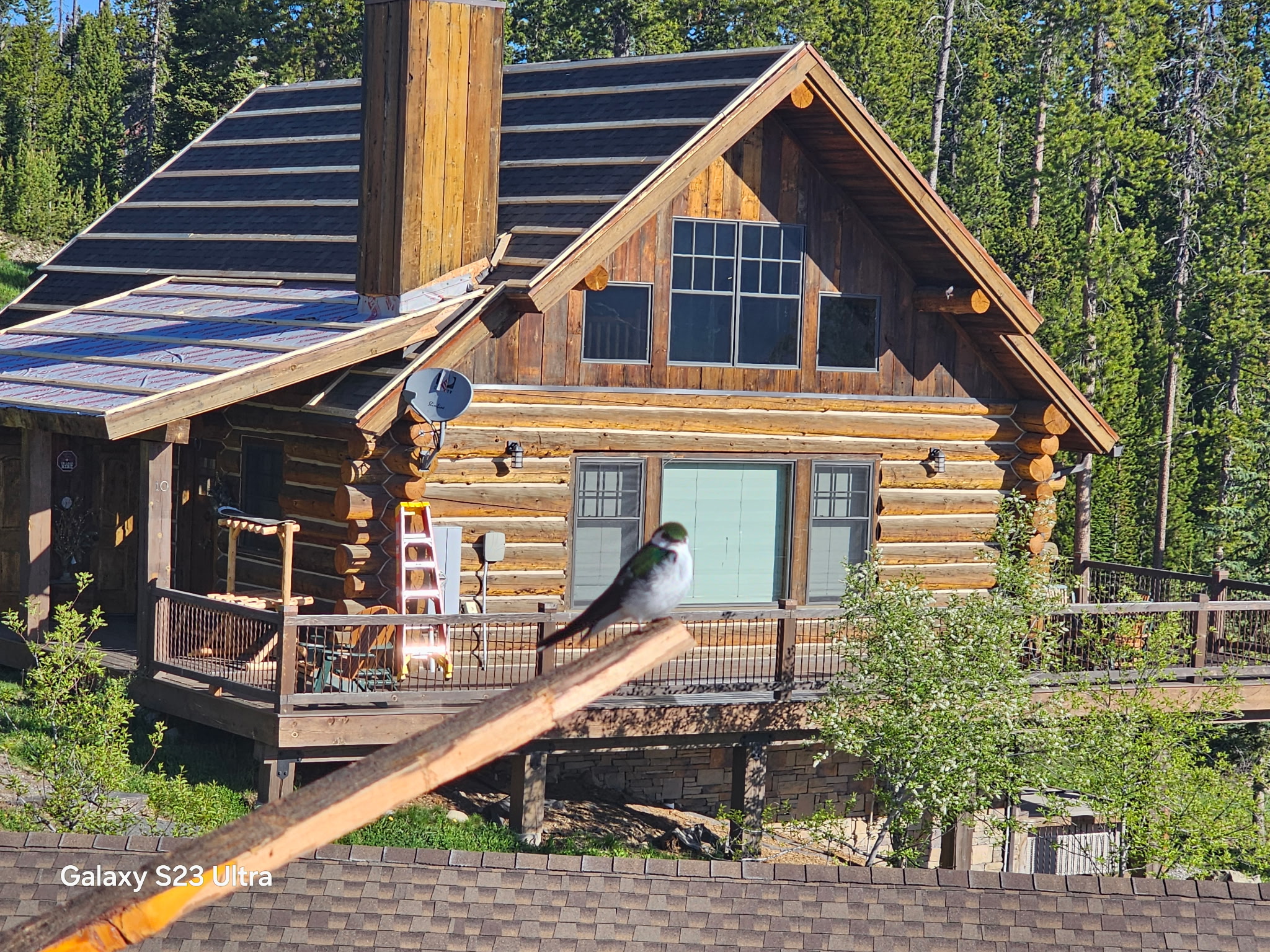 AMPCo roofing contractor Western Montana